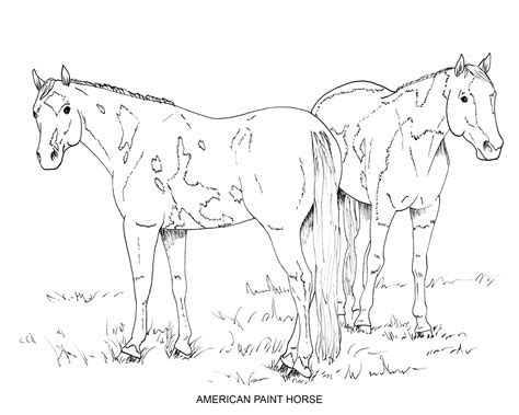Free printable realistic horse coloring pages, Download Free printable ...