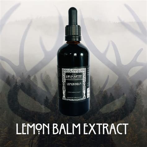 Lemon Balm Extract 100ml - Wildcrafted NZ