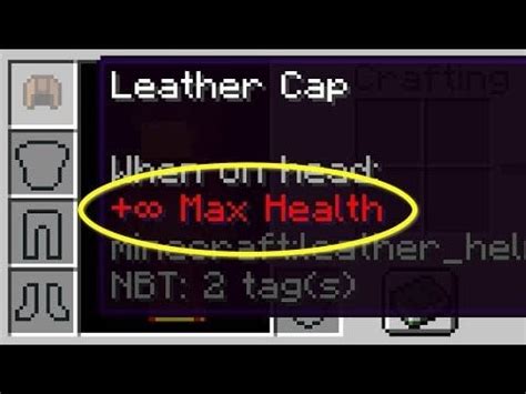 Image result for How to Get Infinite Health in Minecraft Java