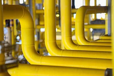 Shinjiru | References