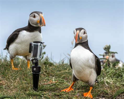 Very Interesting! - Downhome Magazine