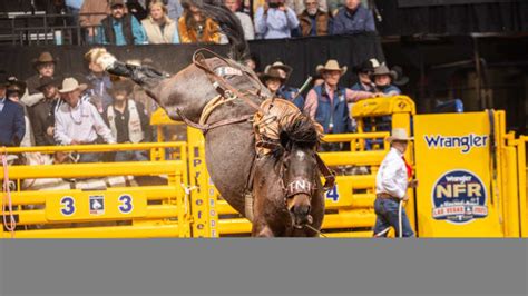 Image result for Loading Rodeo Stock