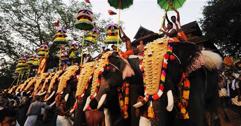 Kerala's Most-Loved Elephant Allowed To Participate In Thrissur Pooram