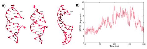 The Iron Maiden. Cytosolic Aconitase/IRP1 Conformational Transition in ...
