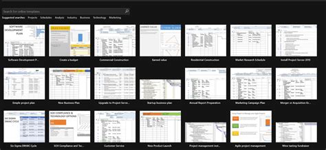 Image result for Microsoft Project Examples