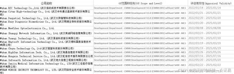 2022年武汉CMMI3-CMMI5认证企业名录_cmmi3认证国内企业有几家-CSDN博客