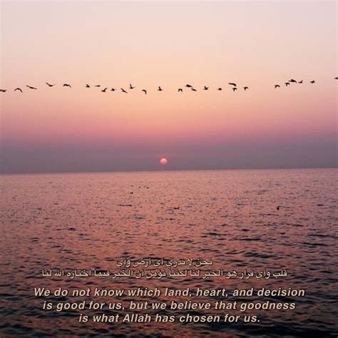 Tranquilize Your Soul: A Serene Oasis of Islamic Wisdom and Serenity