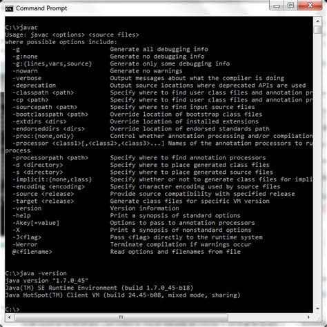 Image result for Only One Command Java 1.17.1