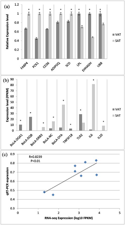 Image result for Anatogram Gene Expression