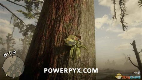 《荒野大镖客2》异宝收集任务怎么做 异宝收集任务攻略_九游手机游戏
