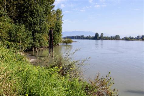 Surrey Bend Regional Park, surrey, Canada - Top Attractions, Things to ...