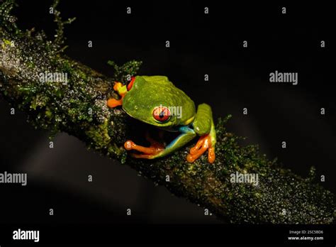 Image result for New Line JavaScript