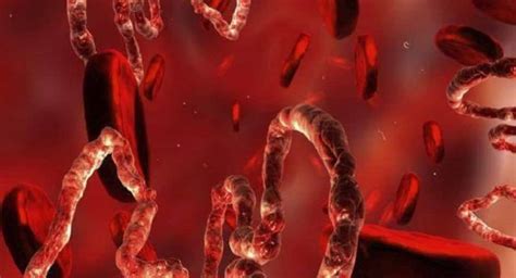 Coronaviruses and 5 other deadliest viruses on earth | TheHealthSite.com