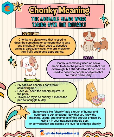 Chonky Meaning: What Does It Mean? - English Study Online