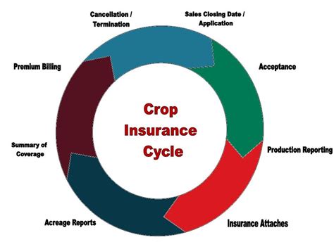 Image result for Insurance Cycle Explained