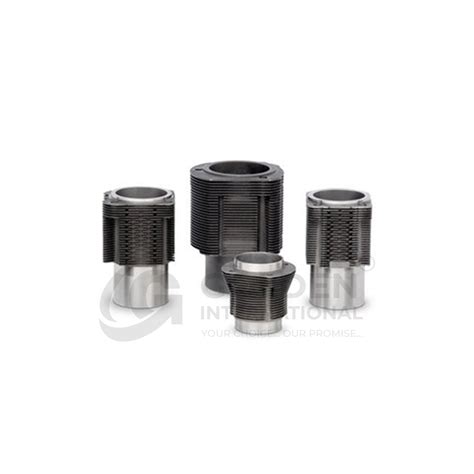 Golden International