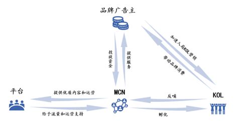2019年发展趋势前瞻及中国MCN机构生态大观_内容