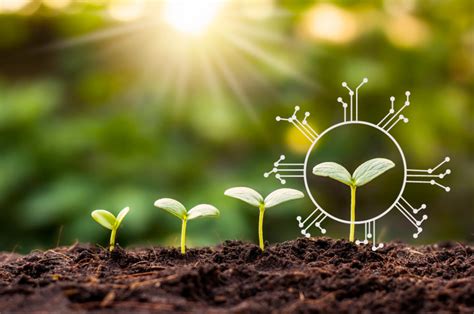 Ai Conference 的图像结果