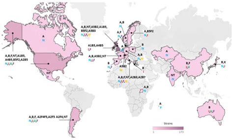 Diversity of the Genomes and Neurotoxins of Strains of Clostridium ...