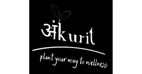 Sansevieria Laurentii Plant – Ankurit