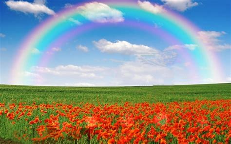 Each color has a specific significance, symbol and sign | हर रंग का है ...