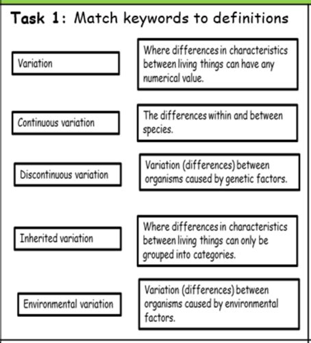 Image result for What iOS a Developmental Variation
