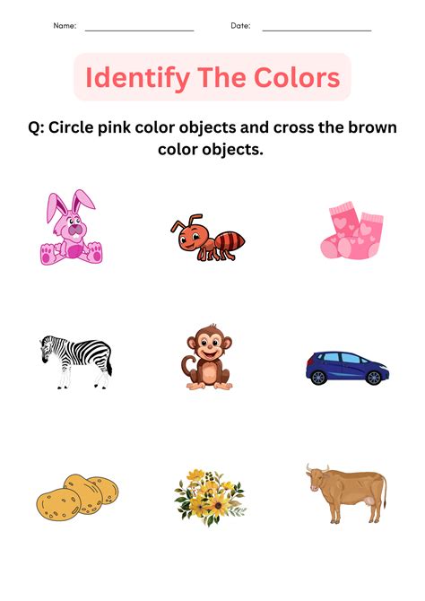 Color Identification 的图像结果