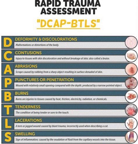 Rapid Trauma Assessment Quick Reference! | MedicTests.com - Online ...