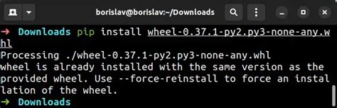 Image result for How to Install a Wheel as Bin Python