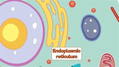 Image result for Cell Structure Animation