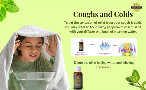 Exotic Aromas Peppermint Essential Oil for Aroma Therapy, Hair & Skin ...