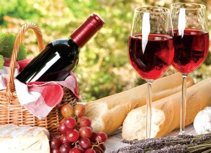 Indian grapes for European wine | Skymet Weather Services