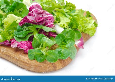 Different Kinds of Fresh Salad Stock Photo - Image of lettuce ...