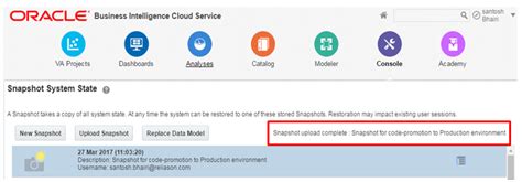 Oracle BICS 的图像结果