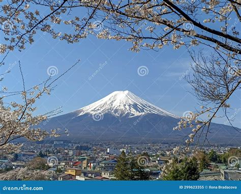 Japan View 的图像结果