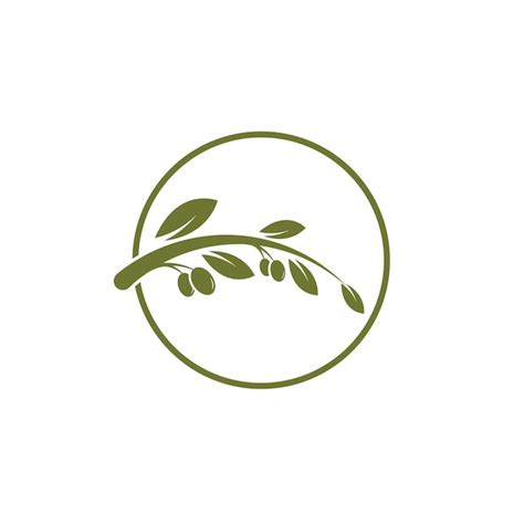 Olive tree vector illustration | Premium Vector