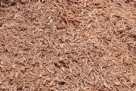 Mulch Installation - East Coast Mulch