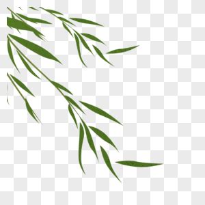 ppt插图柳枝ppt插图素材2022已更新今日资讯