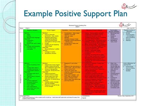 Image result for Positive Behaviour Support Example
