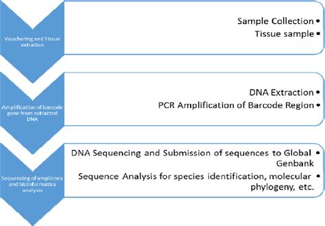 Image result for Barcoding Procedure