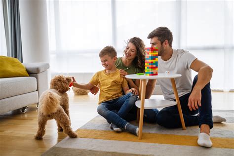 Unlocking potential – Am I prepared for falling mortgage rates? - Oviso