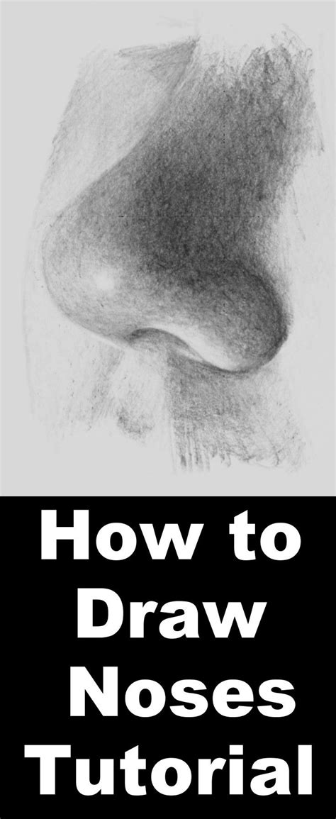 Free Pencil Drawing Tutorials 的图像结果