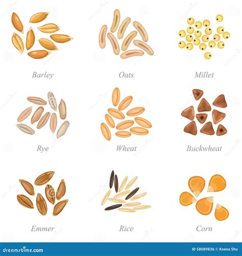 Cereal En English at James Barry blog