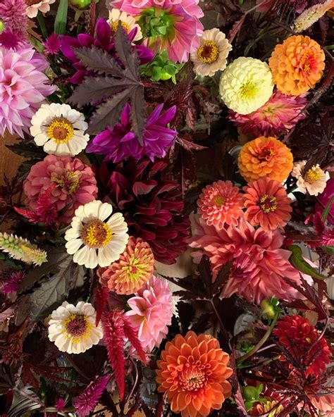 Growing Series: Succession Planting & The Importance of Palettes, 115 ...