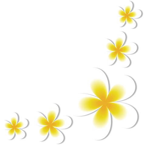 white and yellow frangipani flowers 18787746 PNG