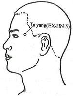 Acupuncture.Com - Taiyang