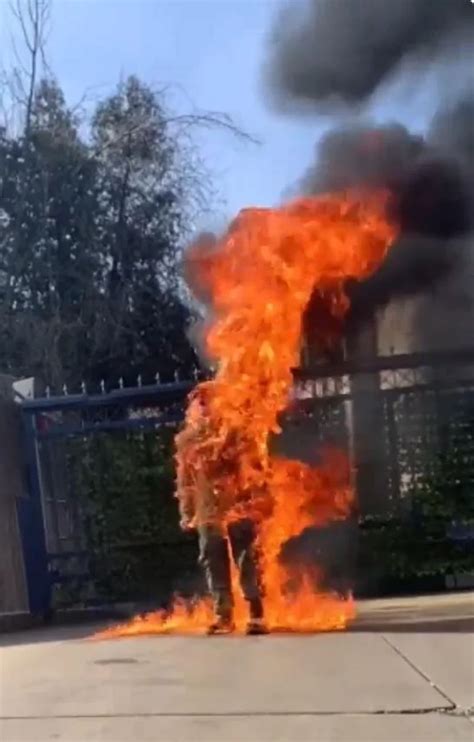 The Spark of Your Story, Ode to Aaron Bushnell - The Markaz Review