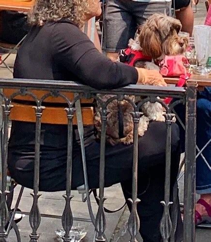 Image result for Practically Neighbors