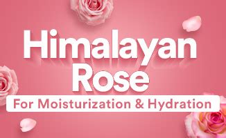 WOW Skin Science: Official Website