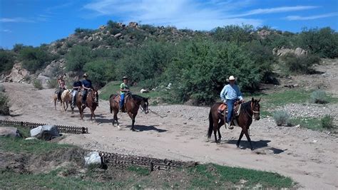 SHATTERHAND STABLES (2026) All You Need to Know BEFORE You Go (with ...